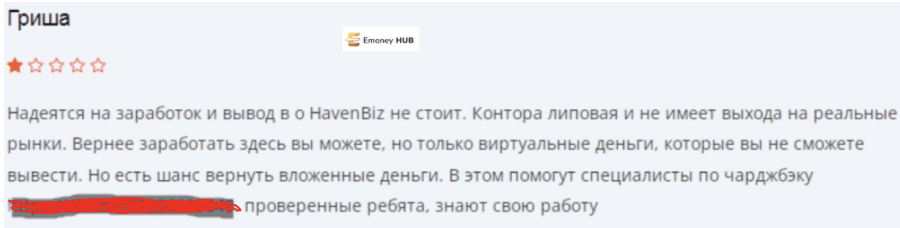 Haven Biz отзыв