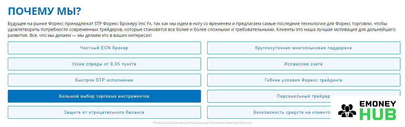 Деятельность компании IMC FX