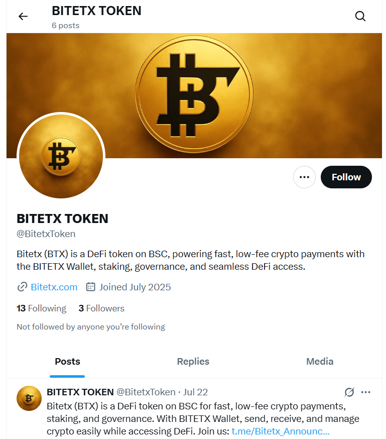 обзор на BITETX