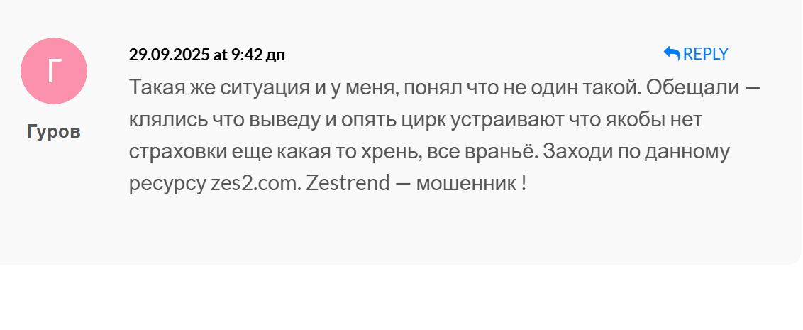 Zestrend реальный отзыв 