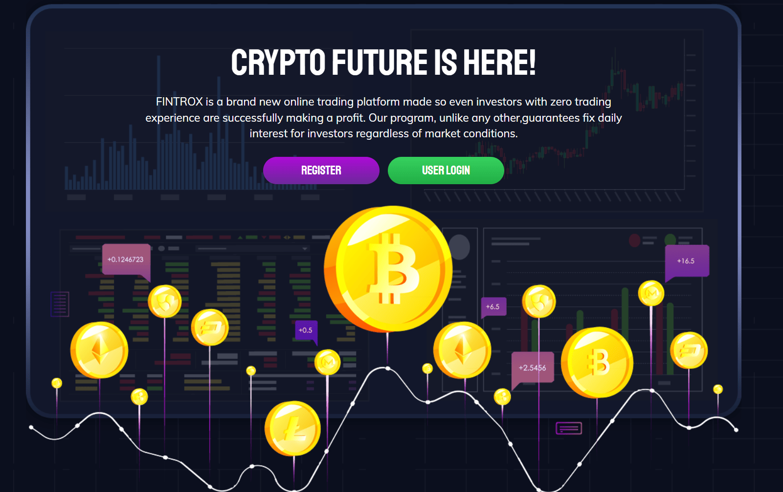 обзор на FINTROX