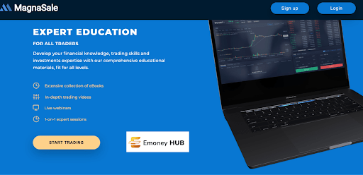 Обзор Magnasale