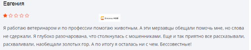 СКАМ ASN Stock Group
