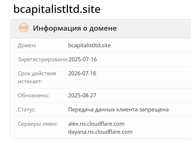 B Capitalist Ltd проверка домена