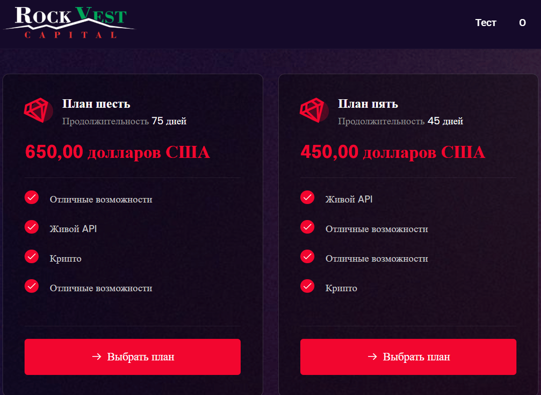 что известно? Rock Vest Capital