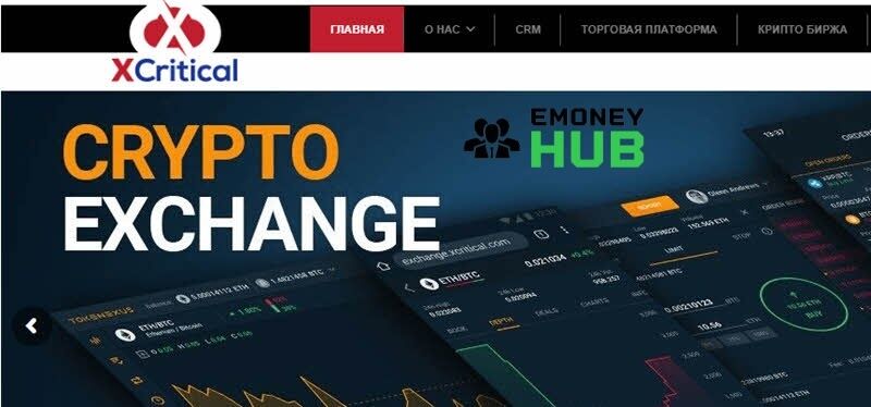 XCritical обзор