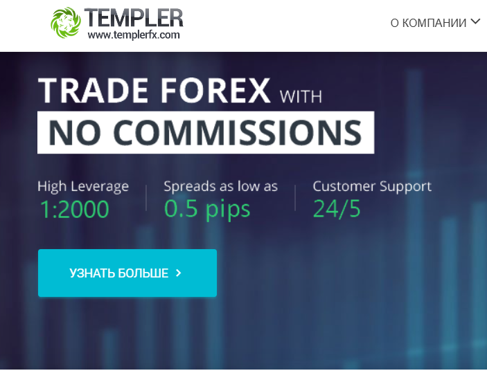 Templer FX обзор