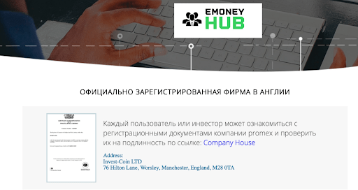 проект Стартапер Отзыв