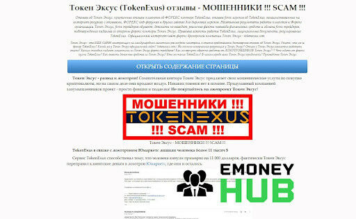 СКАМ Tokenexus