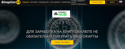 Бинопшн24
