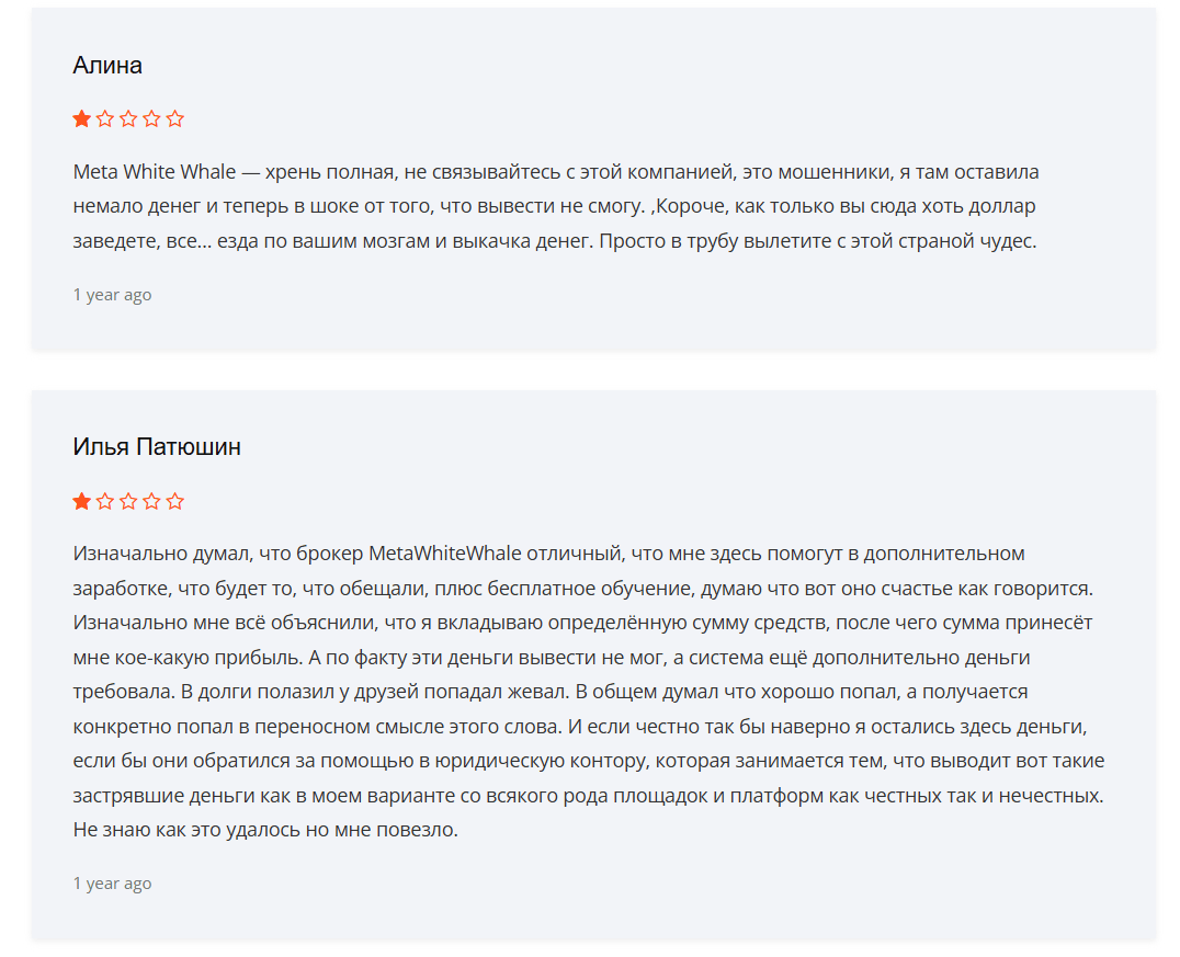 отзывы о Meta Whale Ecosystem