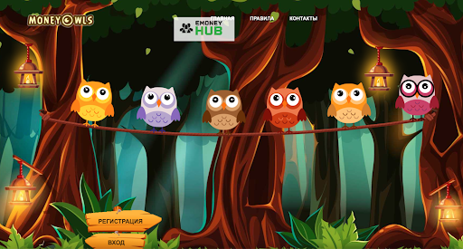 Отзывы money-owls.org