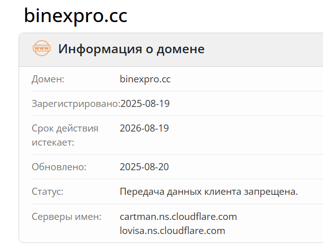 домен BinexPro