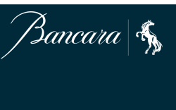 Изображение - Bancara
