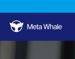 Изображение - Meta Whale Ecosystem