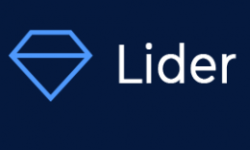 Lider Victory