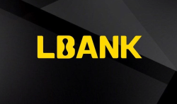 ⭐Обманули на LBank? Что делать и как вернуть украденные деньги