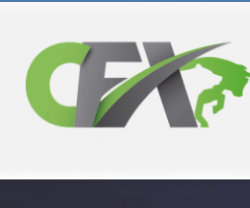 Изображение - Cash FX Group