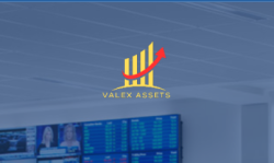 Изображение - Valex Assets Cryptocurrency Investments