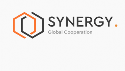 Synergy International Group