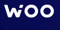 🗿Что делать, если пропали деньги с WOO X
