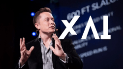 💡Стратегические вызовы xAI на пути к IPO