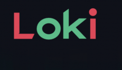 Loki Expert
