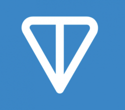 Почему Toncoin стал феноменом – стоит ли инвестировать в TON