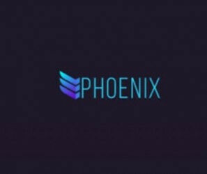 Phoenix Invest club