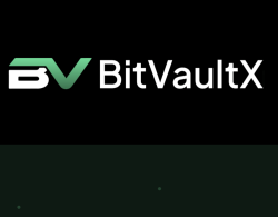 Изображение - BitVaultX