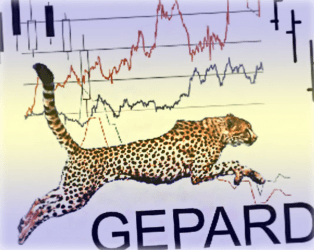 Gepard