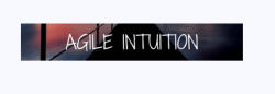 Agile Intuition