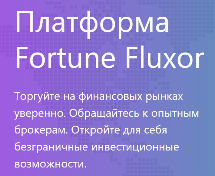 информация о Fortune Fluxor