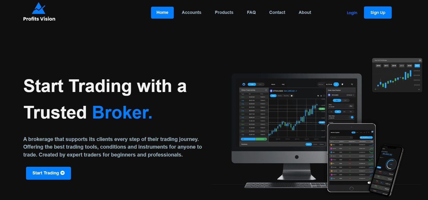 Profits Vision обзор