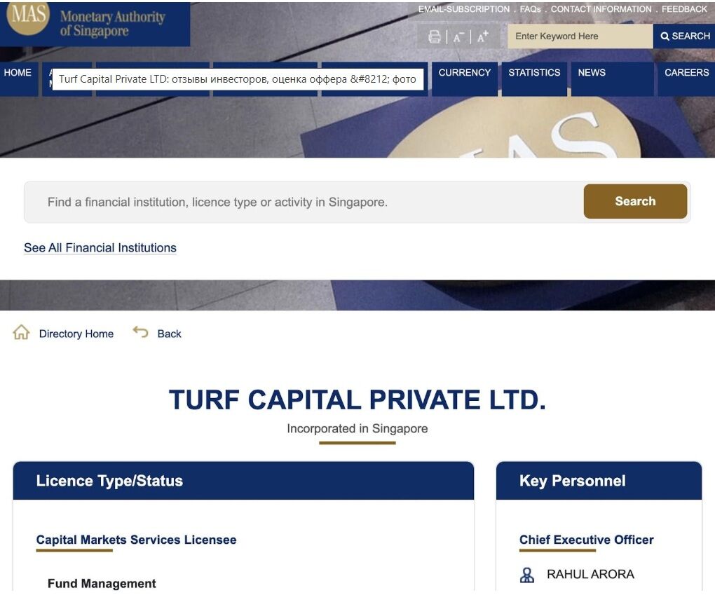 обзор Turf Capital Private LTD